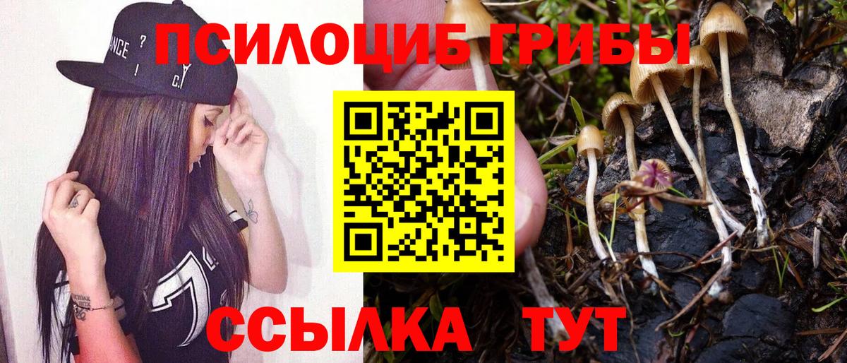 Галлюциногенные грибы мицелий  Галлюциногенные грибы Psilocybe  Кызыл  Вход с VPN 